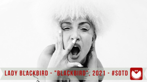 🌼 Song Of The Day n. 301/2023!