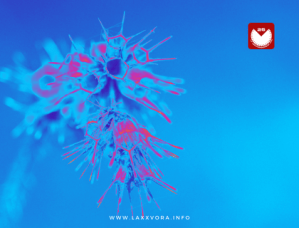 NOVITA’ “Hideout” di COMA in playlist SATURATED | Sandbox&nbsp;2024