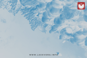 NOVITA’ “Say you love me” di Astrid Sonne in playlist SATURATED | Sandbox&nbsp;2024