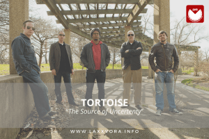 Tortoise, è l’artista con la #SOTD di oggi!&nbsp;☕️