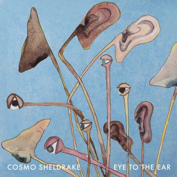 COSMO SHELDRAKE - "Eye To The Ear"