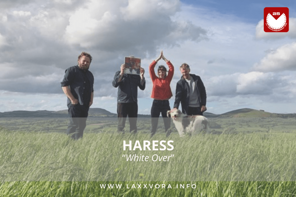 Haress, è la band con la #SOTD di oggi!&nbsp;☕️