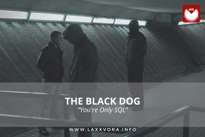 The Black Dog, è l’artista con la #SOTD di oggi!&nbsp;☕️