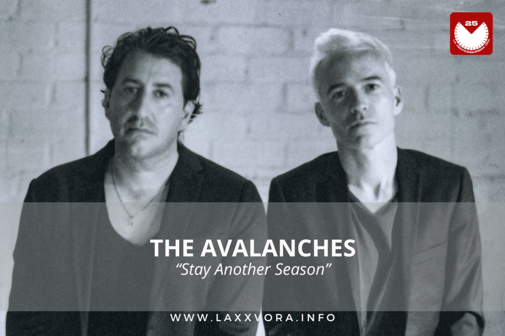 The Avalanches, è l’artista con la #SOTD di oggi!&nbsp;☕️