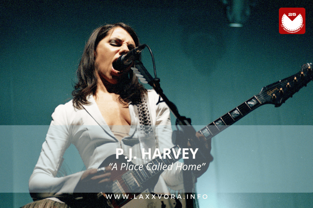 PJ Harvey, è l’artista con la #SOTD di&nbsp;oggi!