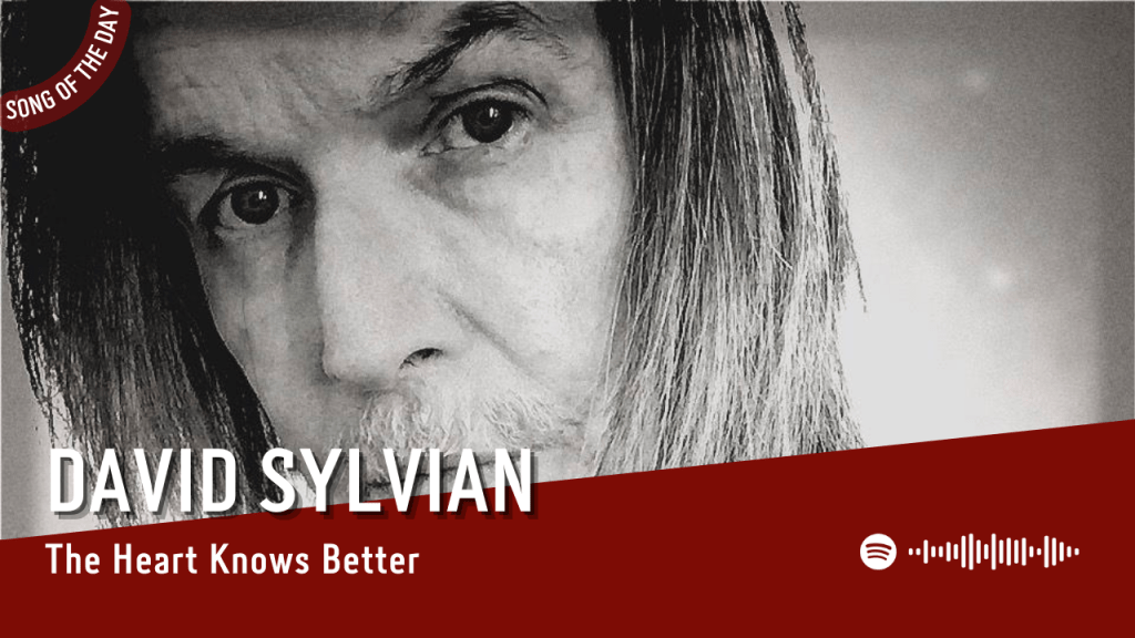 La #SOTD di oggi è di: David&nbsp;Sylvian