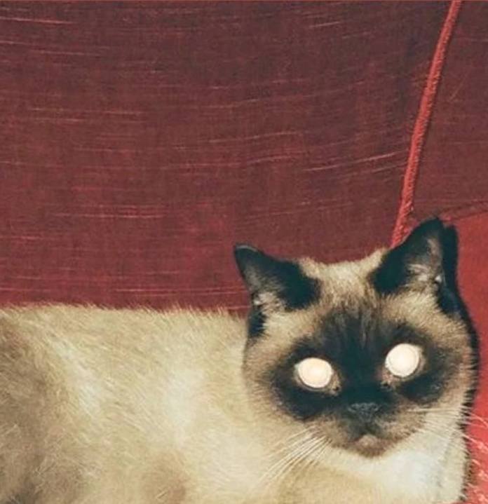 big long sun - "i can hardly see a thing" - [EP] - [Indie Rock, Alt Country]