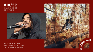 Billy Woods – LP Of The Week –&nbsp;#LPOTW