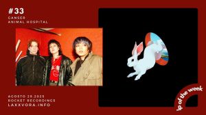 Ganser – LP Of The Week –&nbsp;#LPOTW