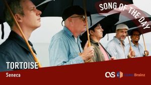 La #SOTD di oggi è dei:&nbsp;Tortoise