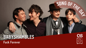 La #SOTD di oggi è dei:&nbsp;Babyshambles